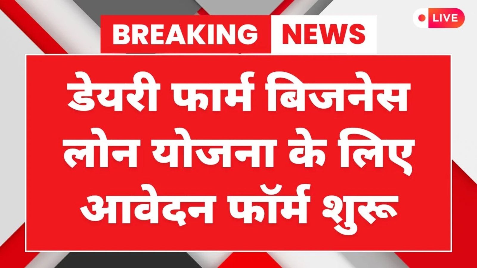 Dairy Farm Business Loan